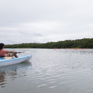 tour des 3 iles holbox