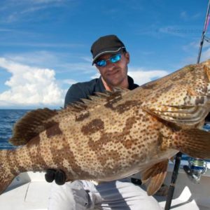 tour des 3 iles holbox